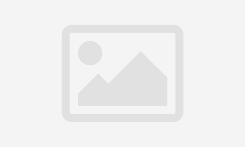 LEADING SAFE (SAFE AGILIST)